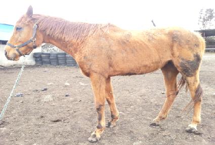 �ּ����� ����