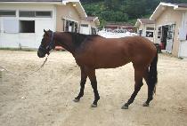 ����Ʈ���� (WAIT FOR ME) ����