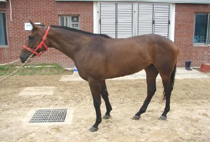 ���۷��� ����