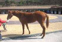 ���ع� (CHAMHAEMIL) ����