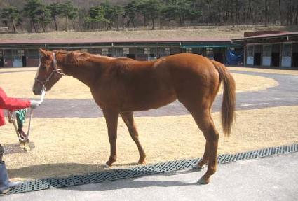 ���ع� ����