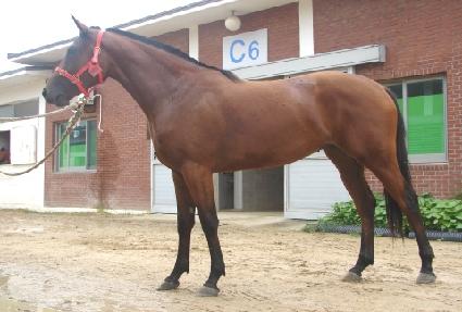 īƮ���� ����