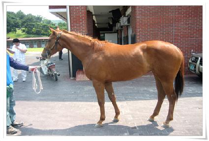 �̽����̵� ����