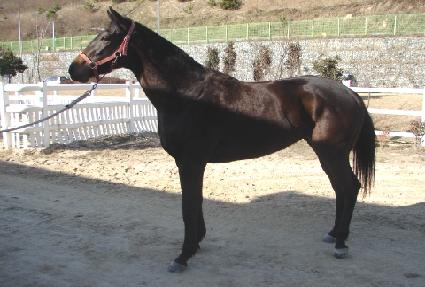 ����� ����