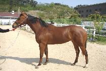 ����ó�� (NABICHEOREOM) ����