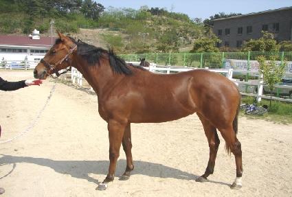 ����ó�� ����