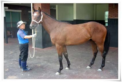 ������� ����