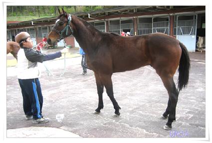 �ָ������� ����