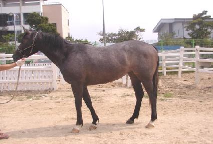 ������� ����