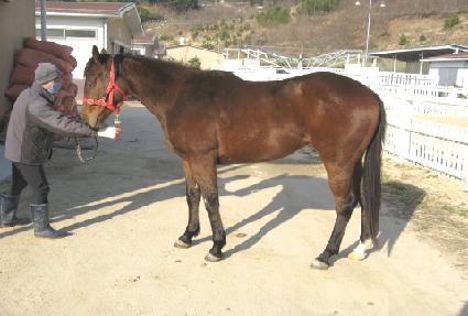 �ڸ��Ȱ��� ����