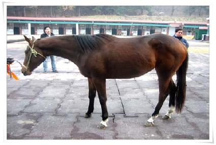 ����ѱ�� ����