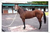 ����ȣ�� (HANHYEOLHOJANG) ����