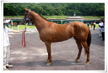 ����Ʈ��ε� ����