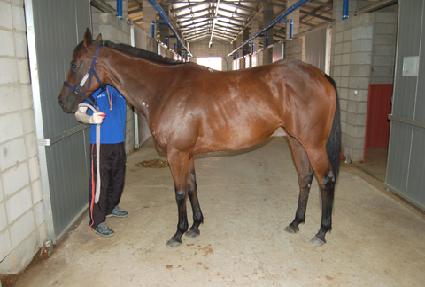 �ݳ��Ͷ� ����