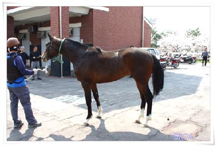 �ູ���� ����