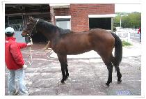 ������ū�� (SEOURUIKEUNBYEOL) ����