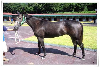 ��Ƽ�� ����