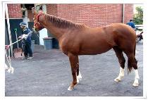 �뵷Ȳ (DAEDONHWANG) ����