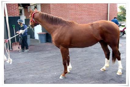 �뵷Ȳ ����