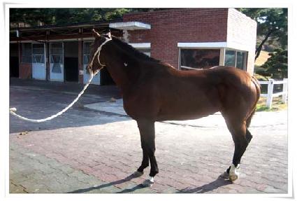 ����� ����