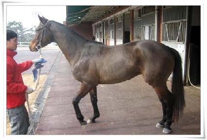 ��¿��� ����