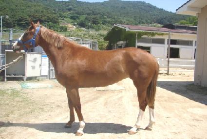 Ŭ������ ����