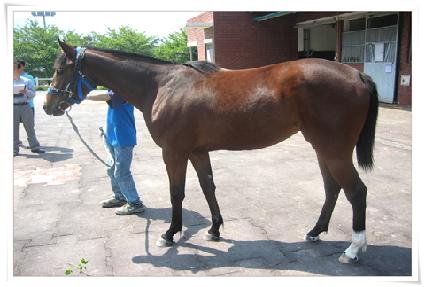 ����ص����� ����