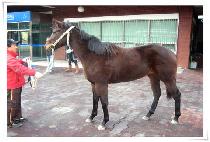 �䵿���� (YODONGJEONGBEOL) ����