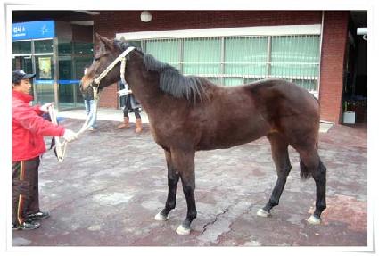 �䵿���� ����