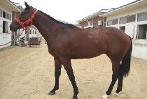 �⸷������ (GIMAKHIN BULPAE) ����