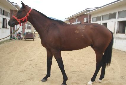 �⸷������ ����