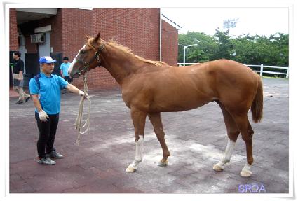 ǳ��� ����