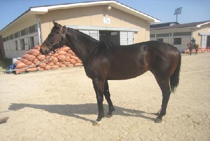 �۷θ����� ����