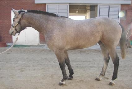 ���ӷ����� ����