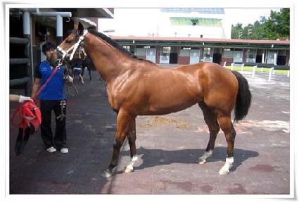 ����ũ���� ����