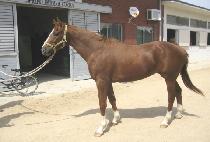 �����̸Ӹ� (PRIMARY) ����