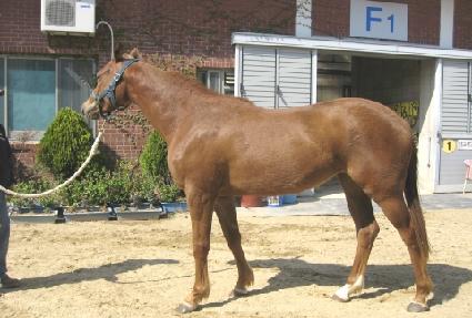 ���ѿ����� ����