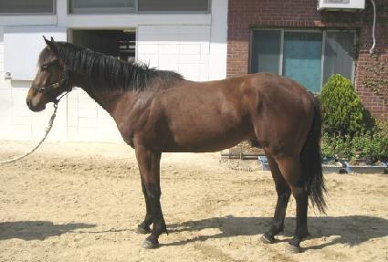 ������� ����