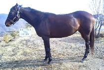 �����ε�������� (BEHIND THE BLUFF) ����