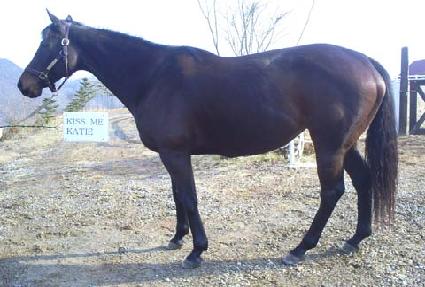 Ű��������Ƽ ����