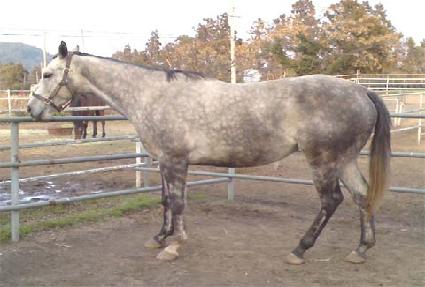 ����Ʈ������ ����