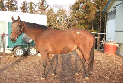 ���ǽ���Ÿ�̾� ����