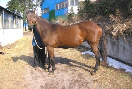 ��������ũ ����