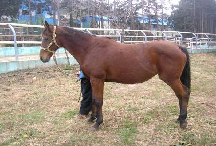 �ʵ���� ����