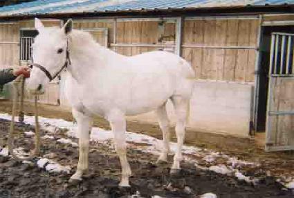 LIL' BIT OF PUCKER ����