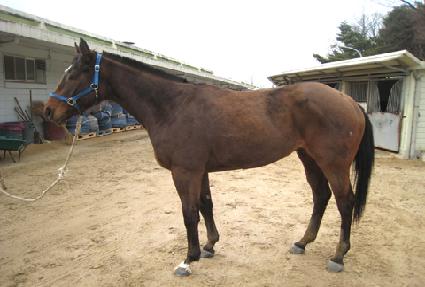 ���� ����