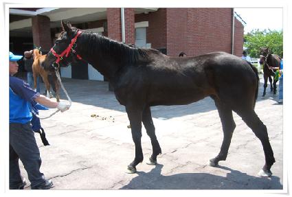 ����� ����