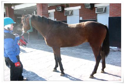 ��ũ�ǽ� ����