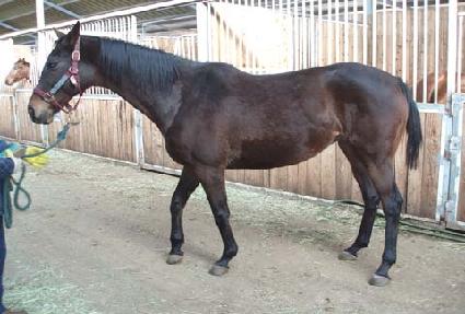 �ʽ��޸� ����