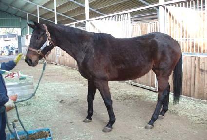 �ǹ����� ����